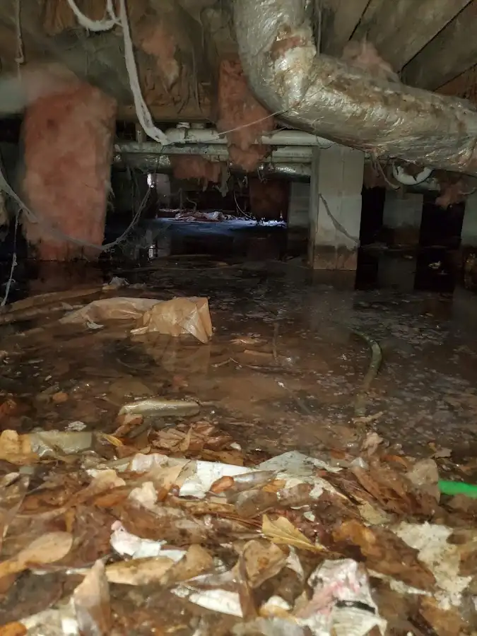 Crawl space flood assessment for Commercial Water Damage Restoration in Greene
