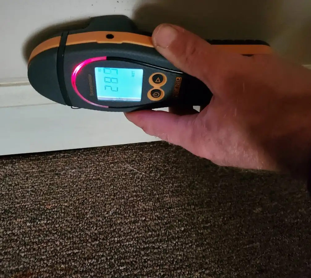 Moisture detection at baseboard during Sewage Cleanup & Sanitation in Greene